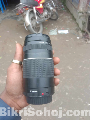 canon 75-300 STM Lens